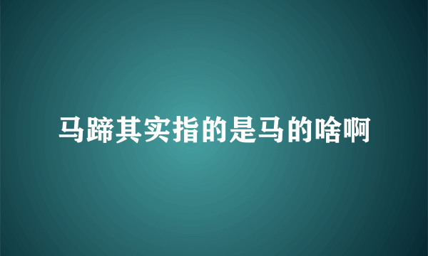 马蹄其实指的是马的啥啊