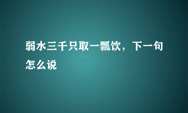 弱水三千只取一瓢饮，下一句怎么说