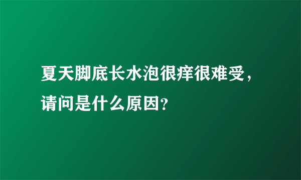 夏天脚底长水泡很痒很难受，请问是什么原因？