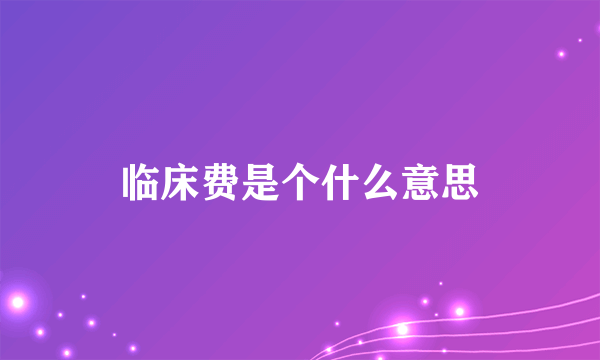 临床费是个什么意思