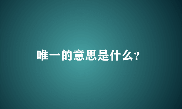 唯一的意思是什么？