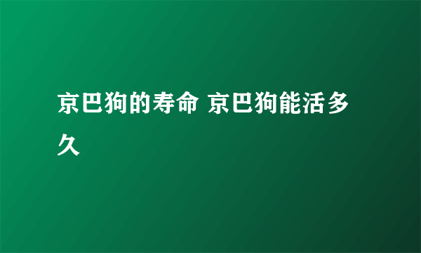 京巴狗的寿命 京巴狗能活多久