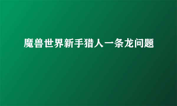 魔兽世界新手猎人一条龙问题