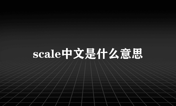 scale中文是什么意思