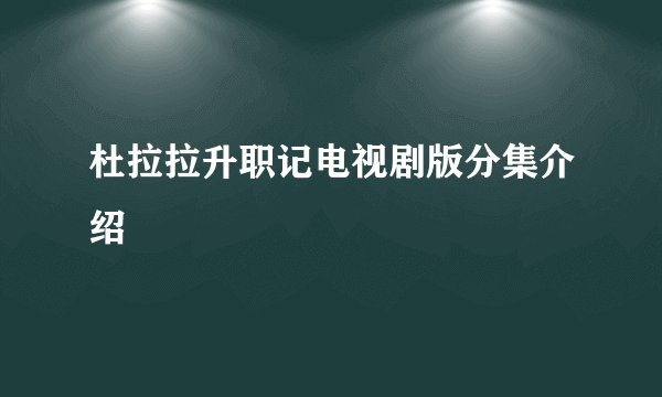 杜拉拉升职记电视剧版分集介绍