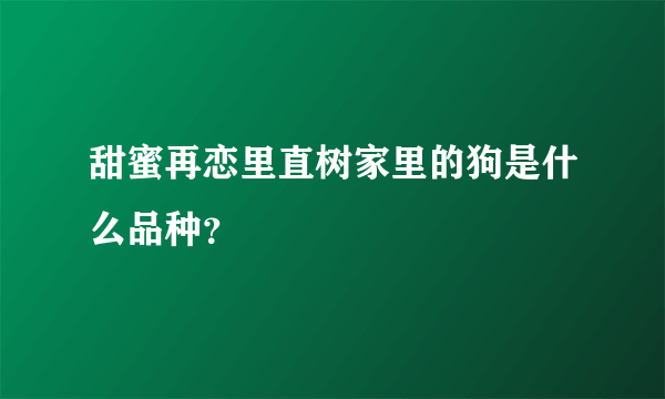 甜蜜再恋里直树家里的狗是什么品种？