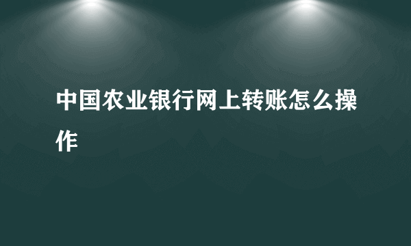 中国农业银行网上转账怎么操作