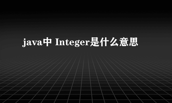 java中 Integer是什么意思