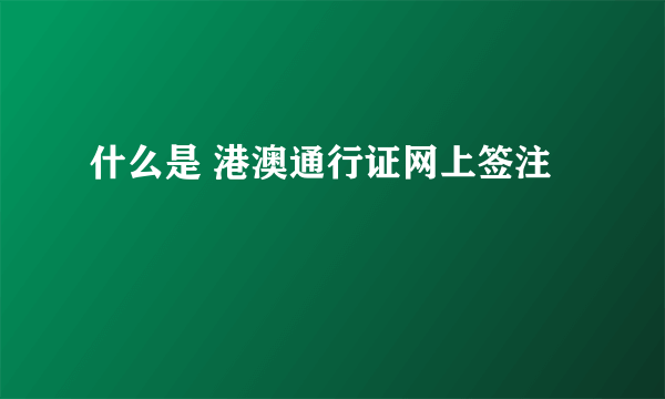 什么是 港澳通行证网上签注