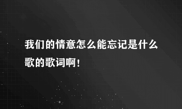 我们的情意怎么能忘记是什么歌的歌词啊！