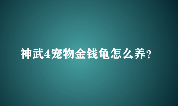 神武4宠物金钱龟怎么养？