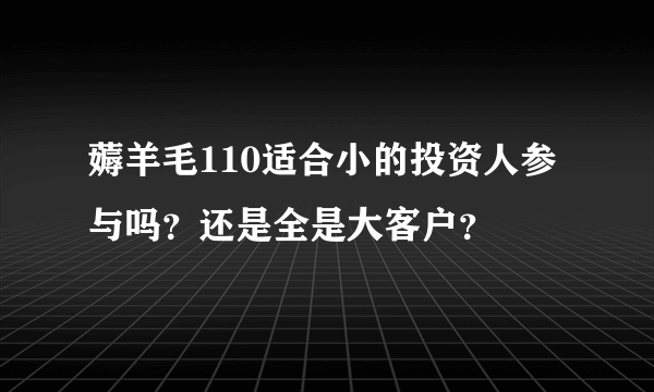 薅羊毛110适合小的投资人参与吗？还是全是大客户？