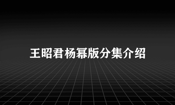 王昭君杨幂版分集介绍