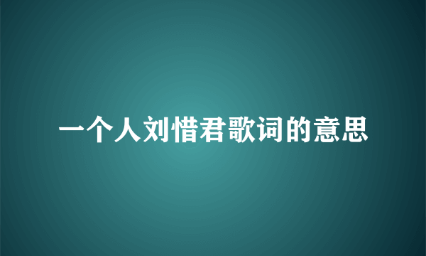 一个人刘惜君歌词的意思