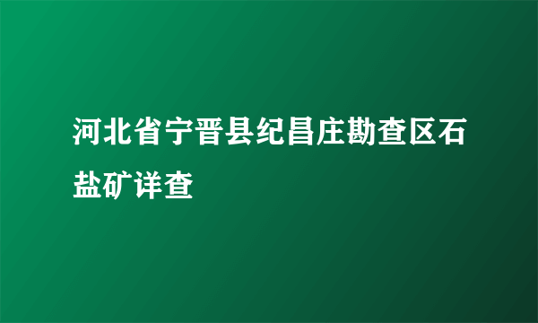 河北省宁晋县纪昌庄勘查区石盐矿详查