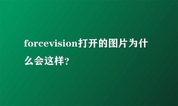 forcevision打开的图片为什么会这样？