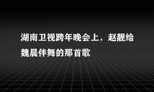 湖南卫视跨年晚会上，赵靓给魏晨伴舞的那首歌