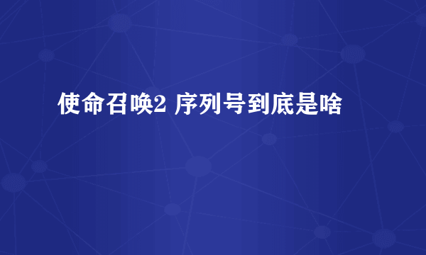 使命召唤2 序列号到底是啥