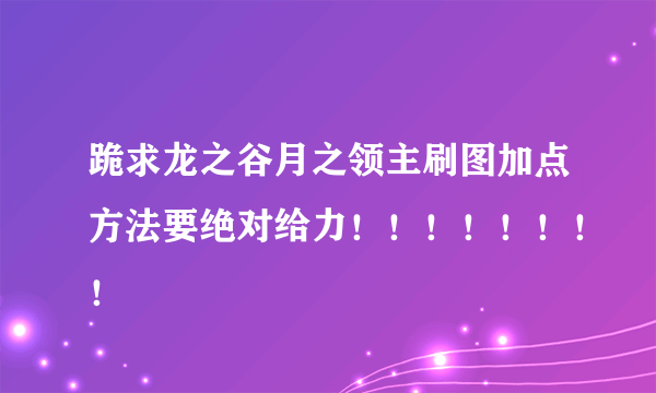 跪求龙之谷月之领主刷图加点方法要绝对给力！！！！！！！！