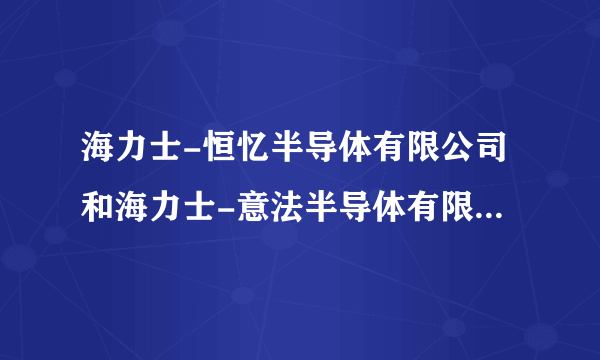 海力士-恒忆半导体有限公司和海力士-意法半导体有限公司是一个公司吗？