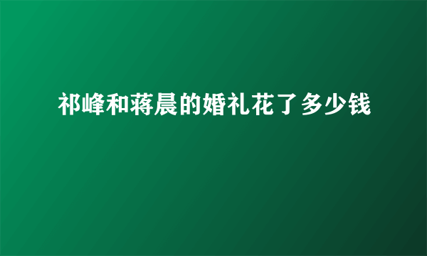 祁峰和蒋晨的婚礼花了多少钱