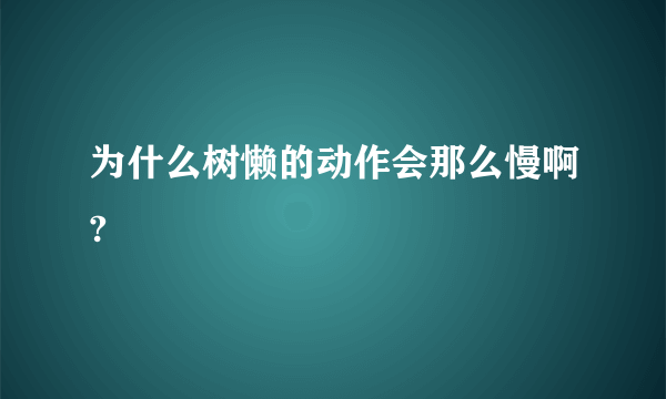 为什么树懒的动作会那么慢啊?