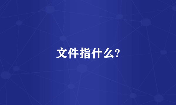 文件指什么?