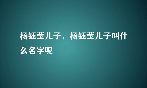 杨钰莹儿子，杨钰莹儿子叫什么名字呢