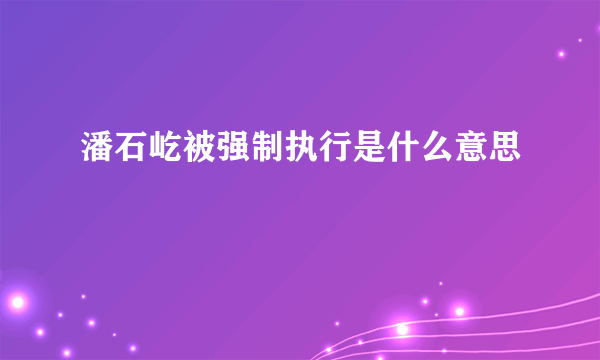 潘石屹被强制执行是什么意思