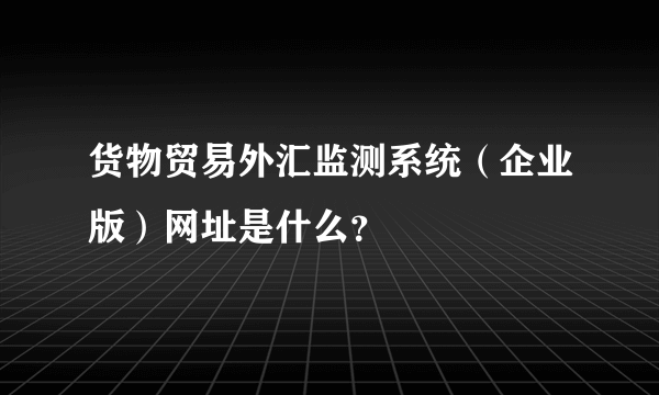 货物贸易外汇监测系统（企业版）网址是什么？