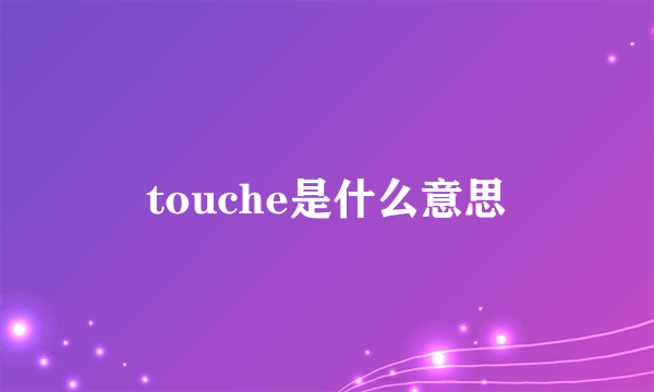 touche是什么意思