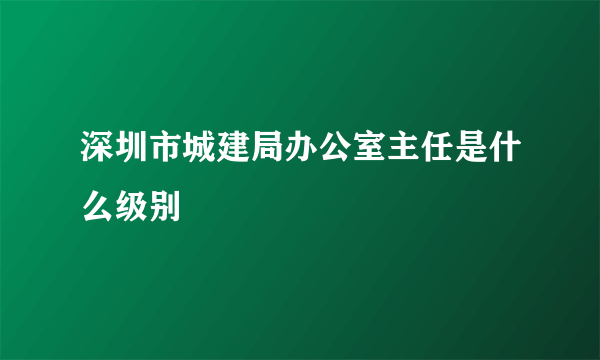 深圳市城建局办公室主任是什么级别