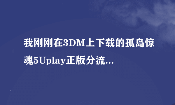 我刚刚在3DM上下载的孤岛惊魂5Uplay正版分流怎么用呀？