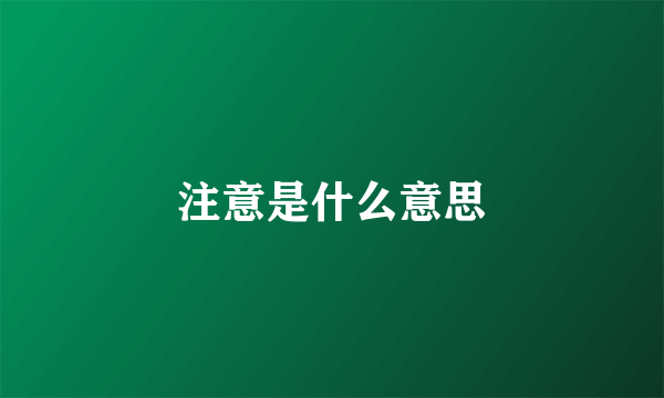 注意是什么意思