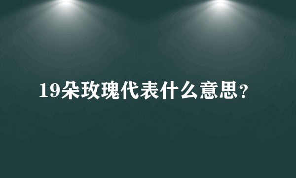 19朵玫瑰代表什么意思？