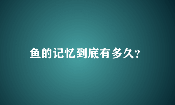 鱼的记忆到底有多久？