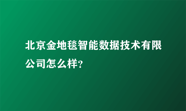 北京金地毯智能数据技术有限公司怎么样？