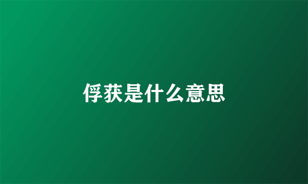 俘获是什么意思