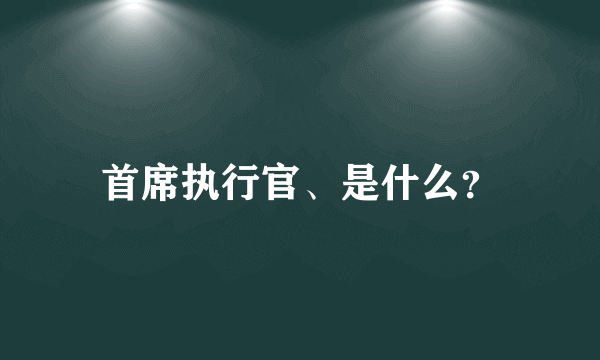 首席执行官、是什么？