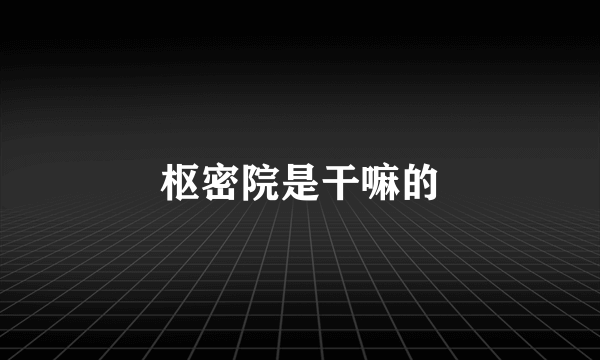 枢密院是干嘛的