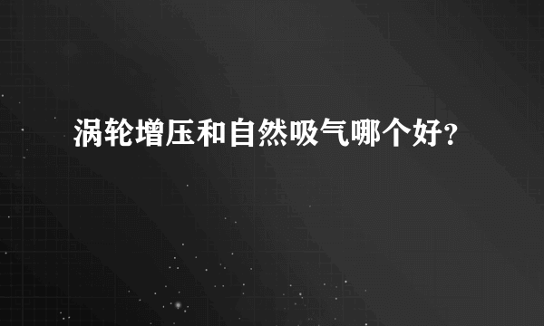 涡轮增压和自然吸气哪个好？