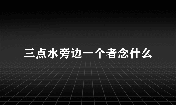 三点水旁边一个者念什么