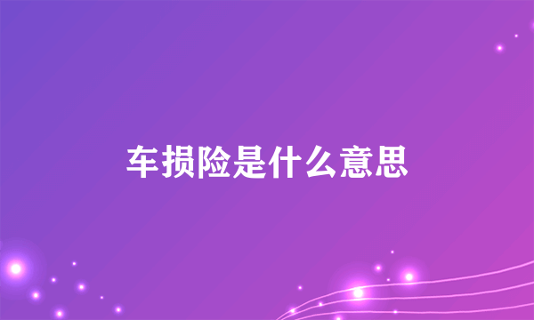 车损险是什么意思