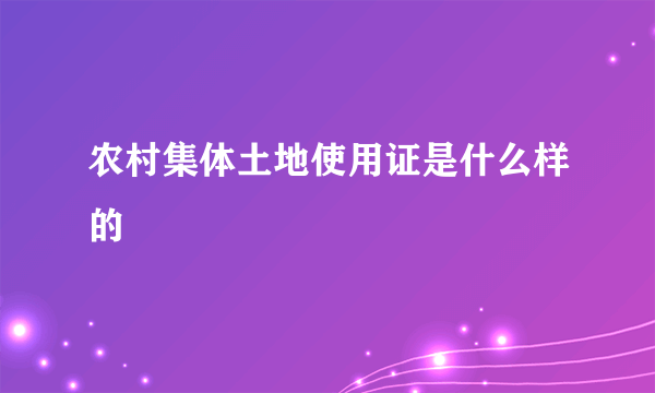 农村集体土地使用证是什么样的