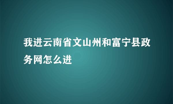 我进云南省文山州和富宁县政务网怎么进