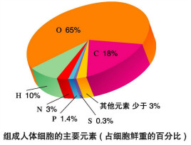 人体含最多的元素是什么元素