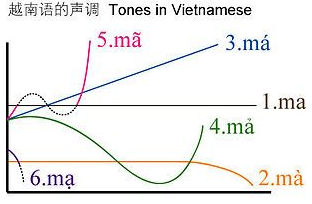 泰国语和越南语是否相同