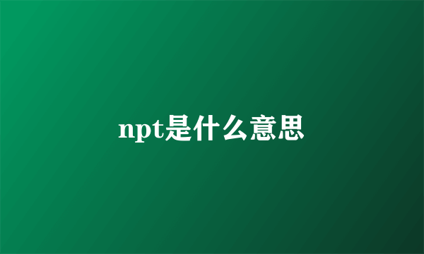 npt是什么意思