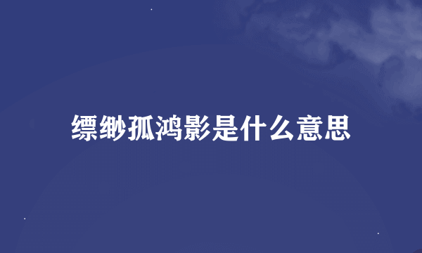 缥缈孤鸿影是什么意思