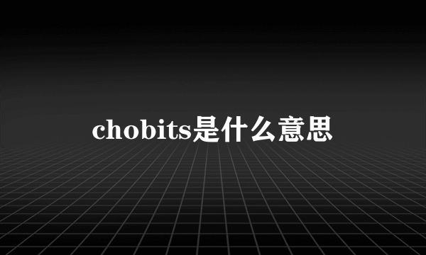 chobits是什么意思